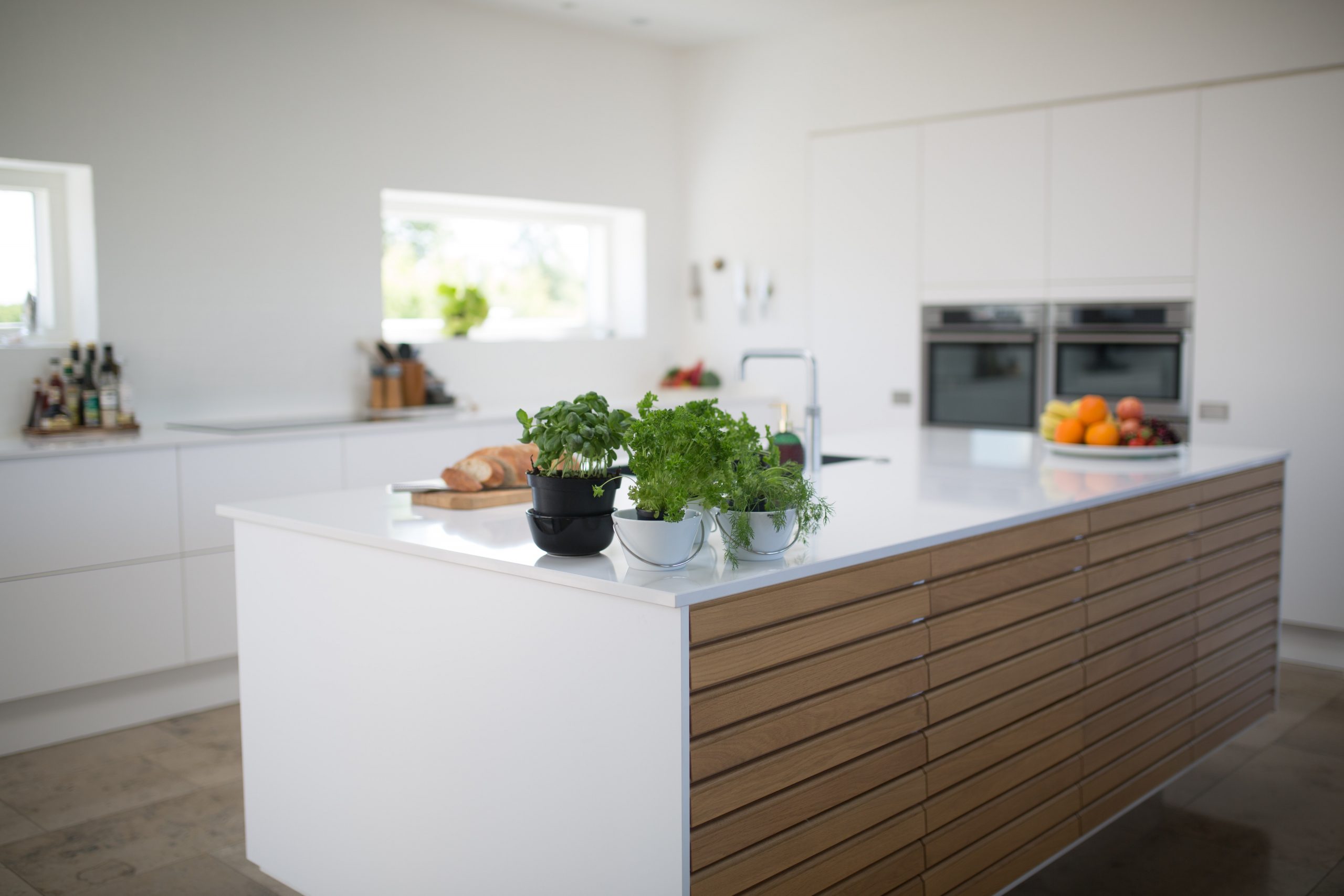 Cocina moderna con plantas